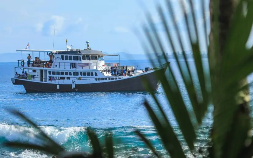dbora-boat-mentawai
