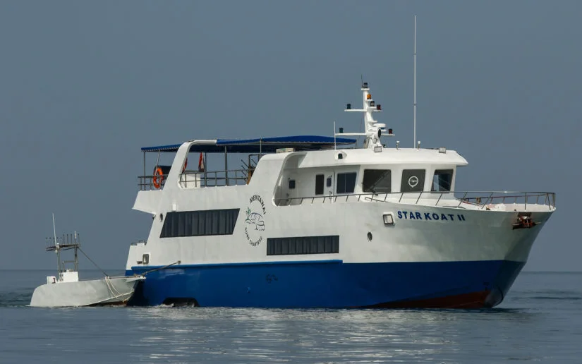 star-koat-2