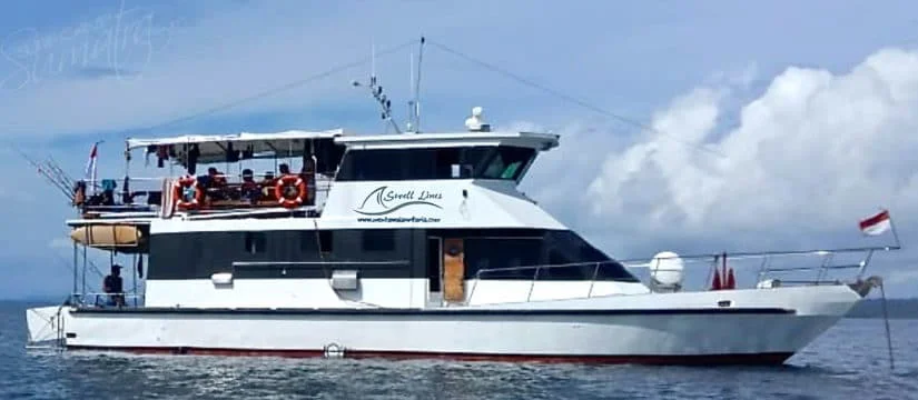swell_lines_charter